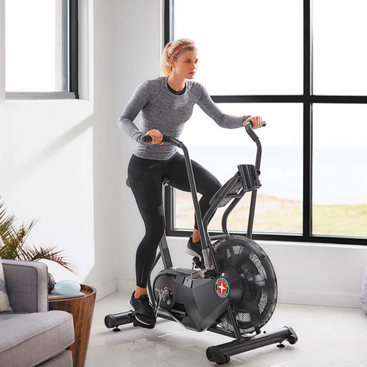 دوچرخه ثابت ایربایک فن دار شووین Schwinn Airdyne AD6